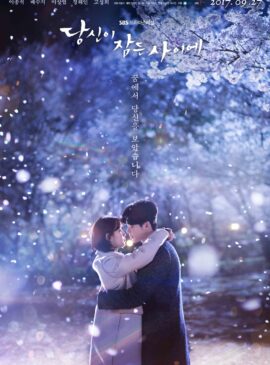 While You Were Sleeping (2017) ลิขิตฝันฉันและเธอ doomovie