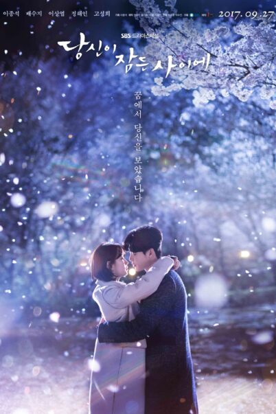 While You Were Sleeping (2017) ลิขิตฝันฉันและเธอ doomovie